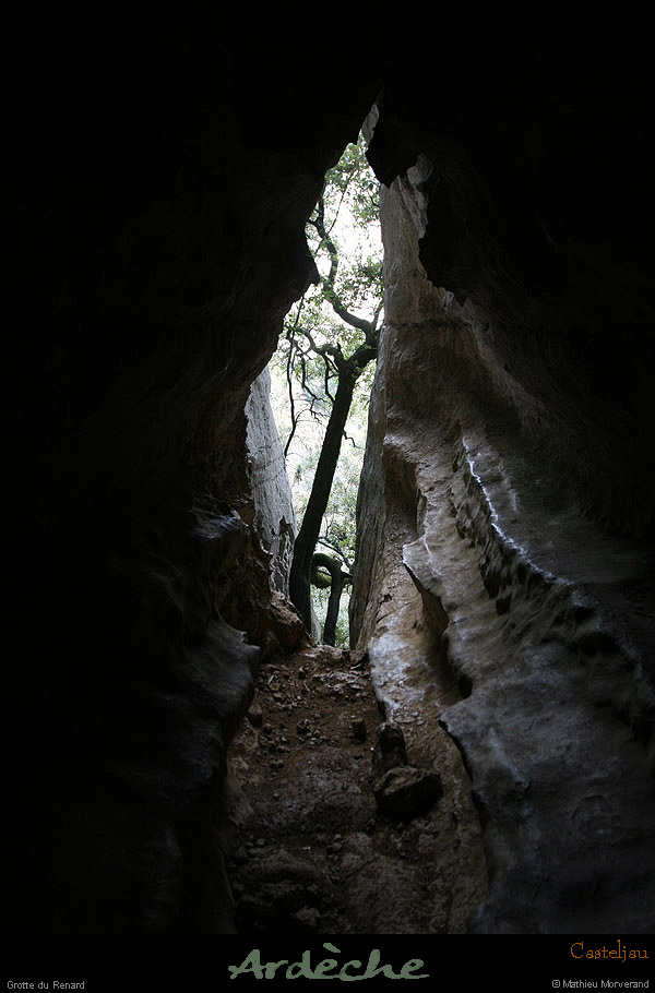 20100110_gorgescasteljau_grotterenard_sortiefalaise