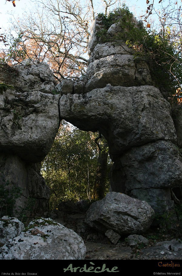 20101218_paiolive_boisdesoiseaux_arche3
