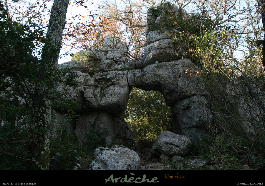 20101218_paiolive_boisdesoiseaux_arche4
