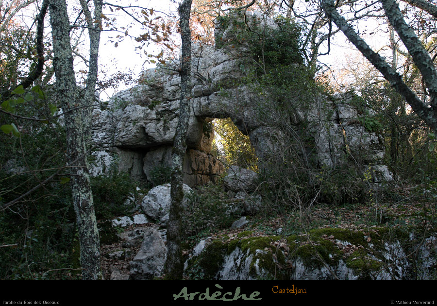 20101218_paiolive_boisdesoiseaux_arche5