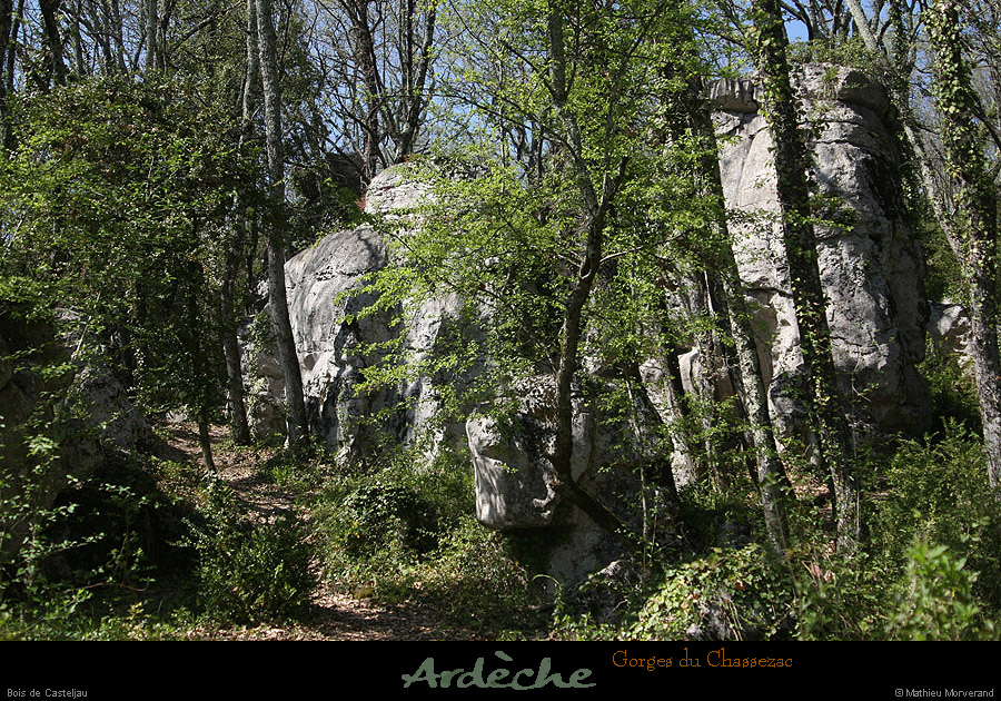 20130417_boisdecasteljau02