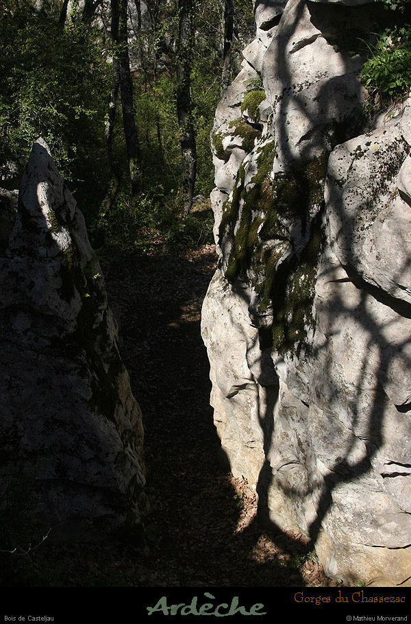 20130417_boisdecasteljau03