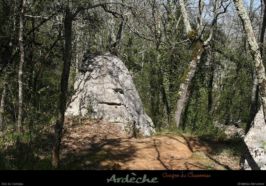 20130417_boisdecasteljau04