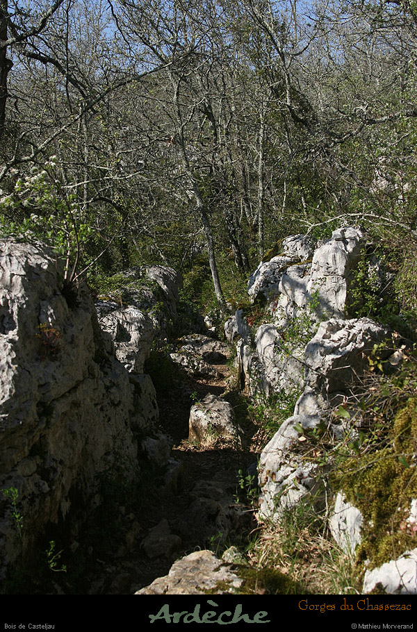 20130417_boisdecasteljau07