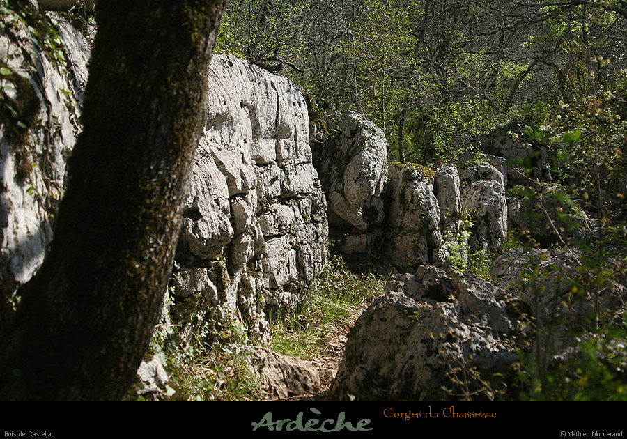 20130417_boisdecasteljau08