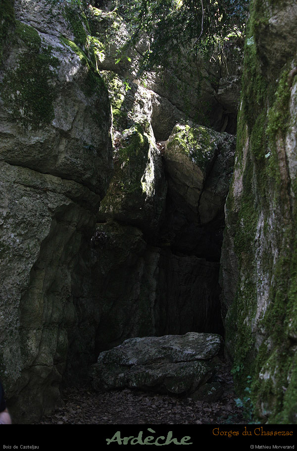 20130417_boisdecasteljau_grotte1