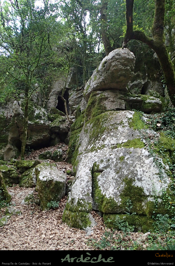 20160416_casteljaubois1