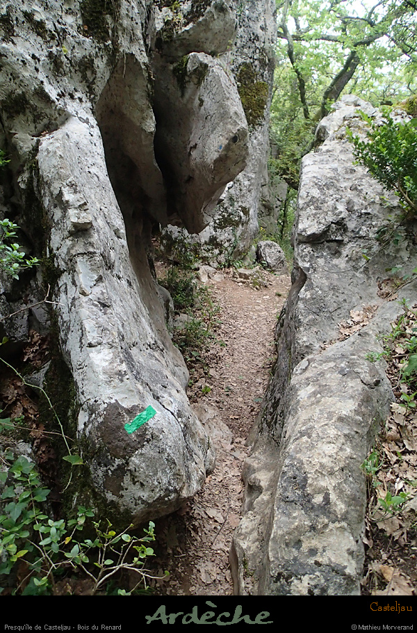 20160416_casteljaubois3