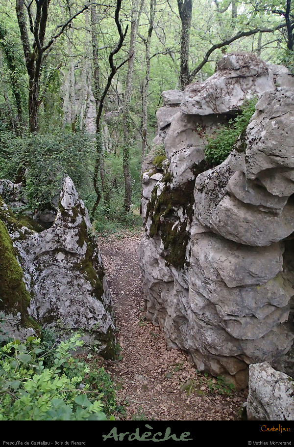 20160416_casteljaubois4