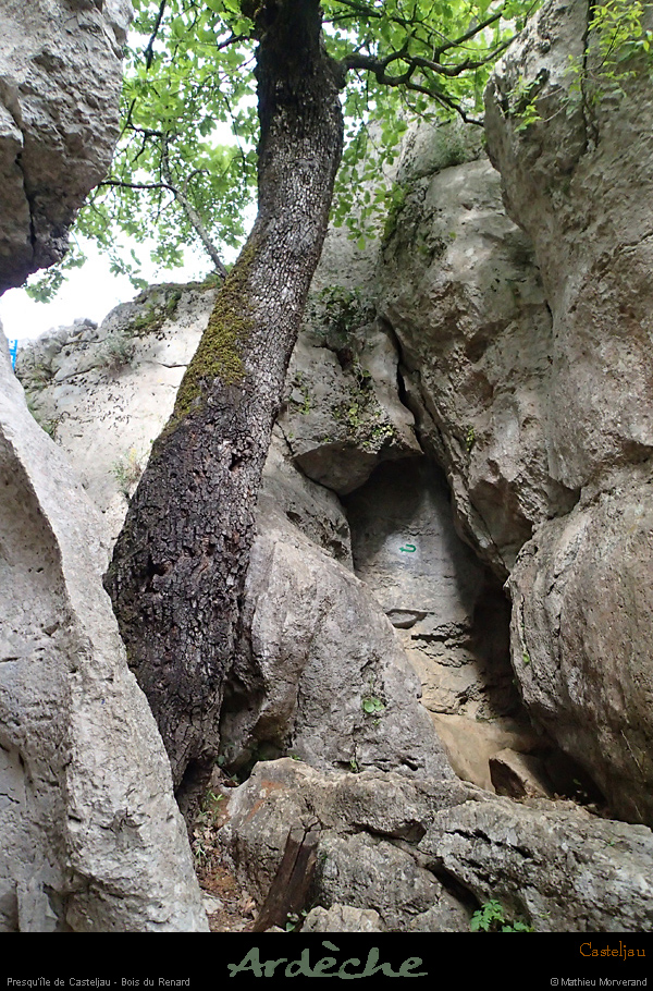 20160416_casteljaubois5