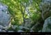 20010813_casteljau_boisprestrianglebeni_1