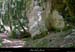20010813_casteljau_boisprestrianglebeni_5