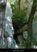 20010813_casteljau_boisprestrianglebeni_6
