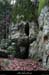 20100101_casteljau_boisdurenard01