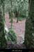 20100101_casteljau_boisdurenard04