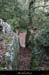 20100101_casteljau_boisdurenard05