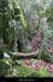 20100101_casteljau_boisdurenard06