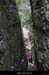 20100101_casteljau_boisdurenard09