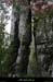 20100101_casteljau_boisdurenard15