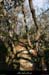 20100110_gorgescasteljau_secteurrenard_1