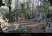 20100110_gorgescasteljau_secteurrenard_3