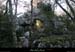 20101218_paiolive_boisdesoiseaux_arche5