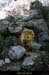 20101218_paiolive_boisdesoiseaux_arche6