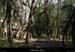 20130417_boisdecasteljau01