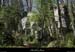 20130417_boisdecasteljau02