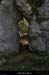 20130417_boisdecasteljau05