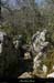 20130417_boisdecasteljau07