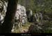 20130417_boisdecasteljau08
