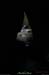 20130417_boisdecasteljau_grotte2