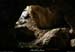 20130417_boisdecasteljau_grottedurenard1