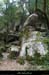 20160416_casteljaubois1