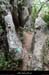 20160416_casteljaubois3
