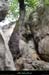20160416_casteljaubois5