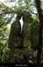 20200830_boistritons