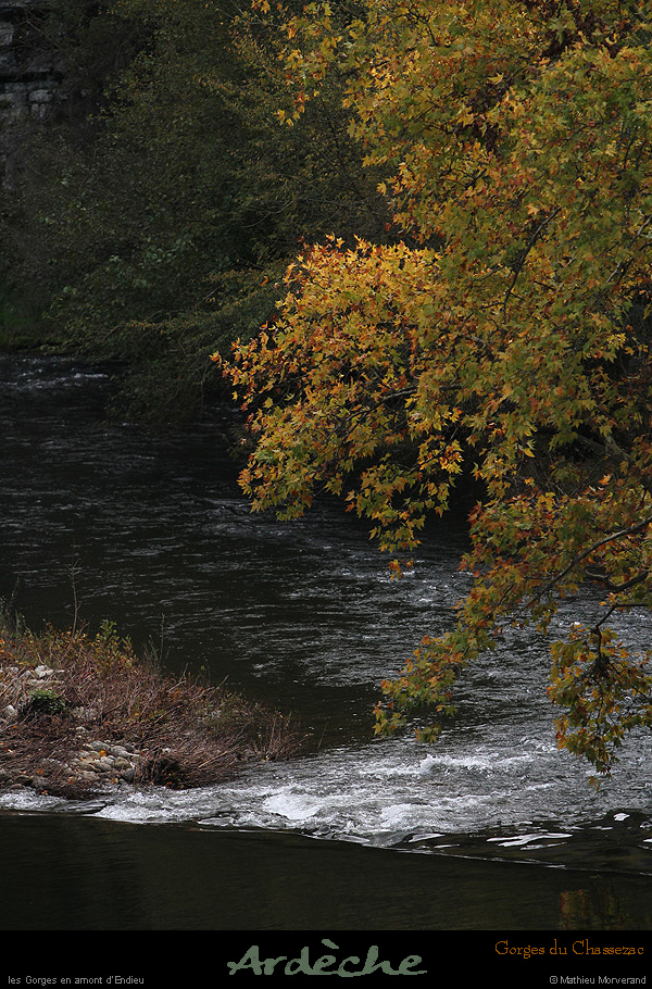 20151017_078