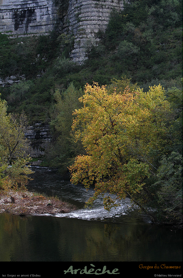 20151017_079