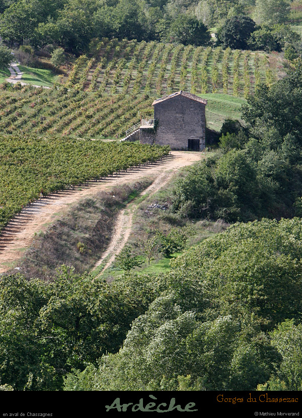 20051002_gorgescasteljau_chassagnes_2