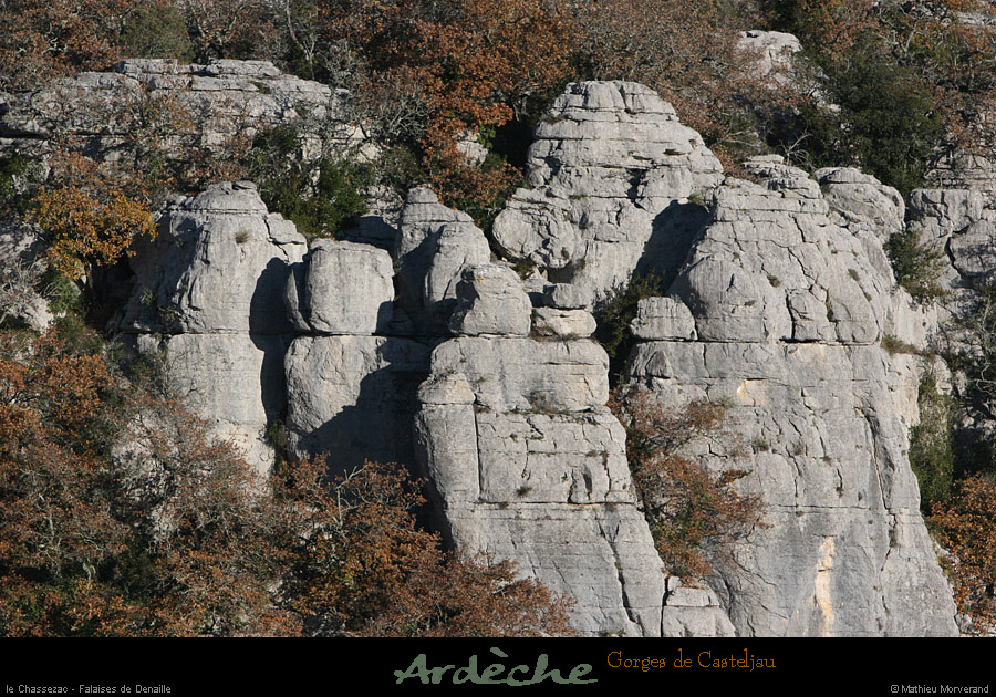 20101218_falaisesdenailledebelvoiseaux05