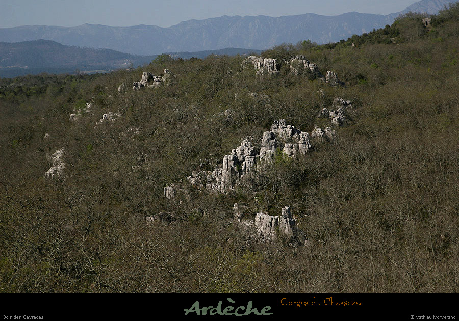 20130417_lesceyredesdepuisbelvtritons