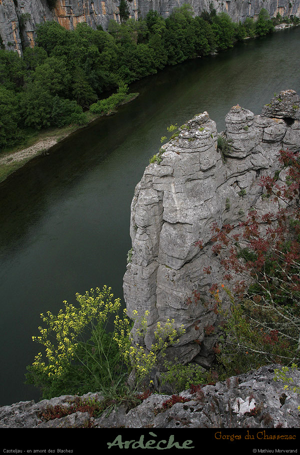 20130508_chassezac_amblaches1