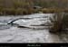 20101111_chassezac_mazetdalles7