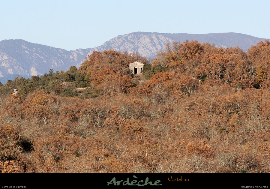 20101218_serredelaramadetdebelvoiseaux