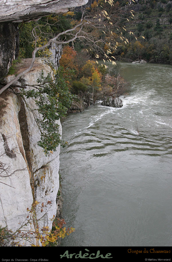 20081106_42
