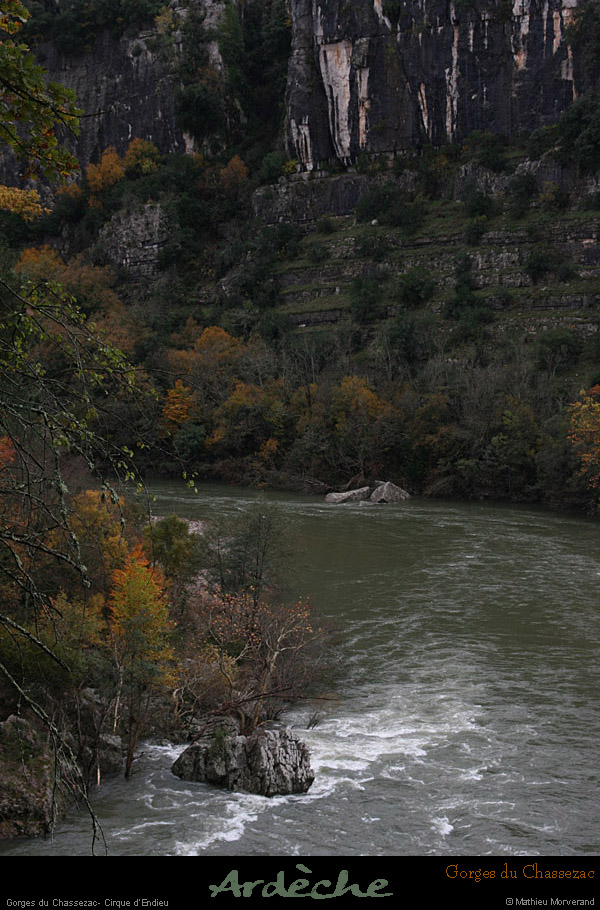 20081106_50