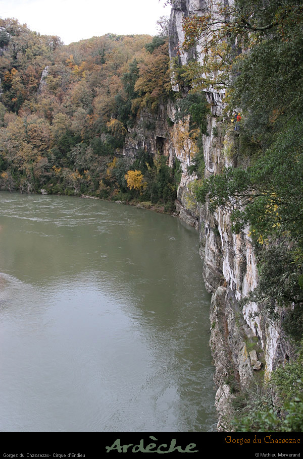 20081106_53