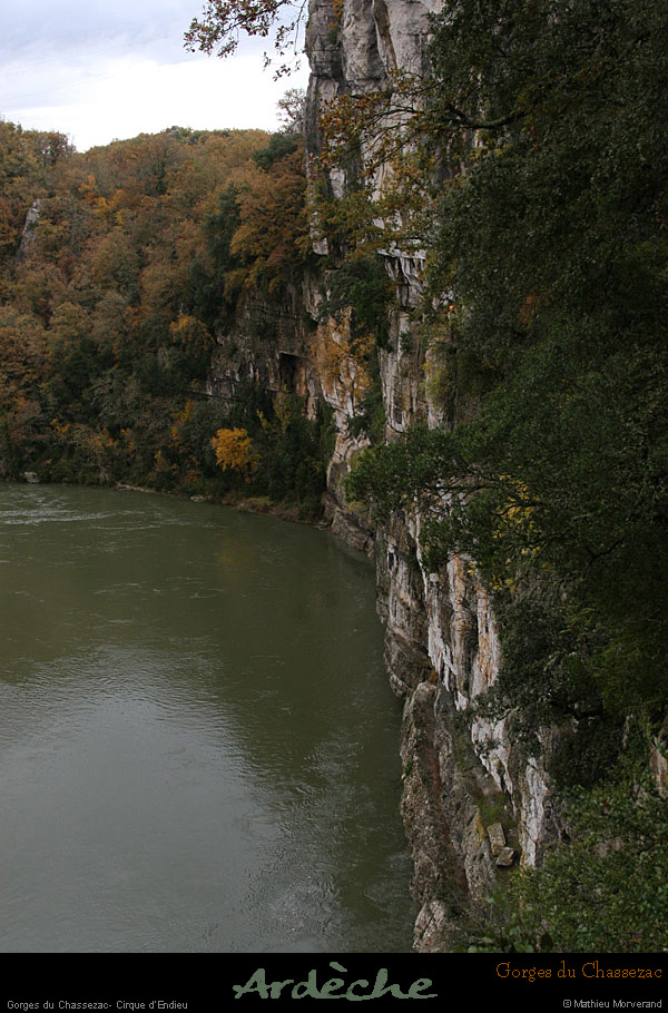 20081106_55